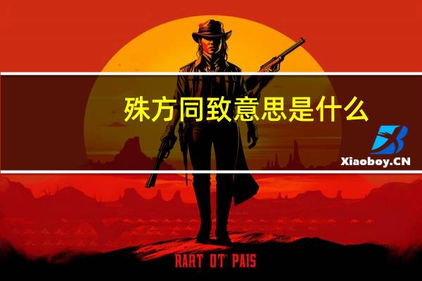 殊方同致意思是什么