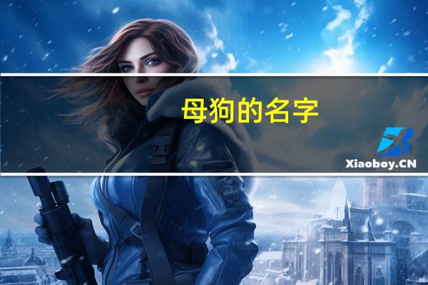 母狗的名字