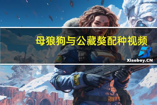母狼狗与公藏獒配种视频（母狼狗与公藏獒配种）