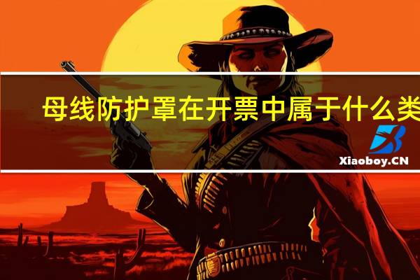 母线防护罩在开票中属于什么类别