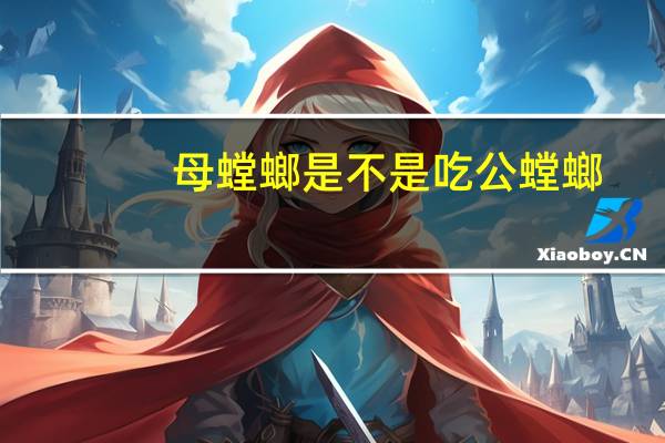 母螳螂是不是吃公螳螂（母螳螂为什么吃公螳螂）