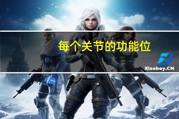 每个关节的功能位（人体各大关节的功能位是什么）