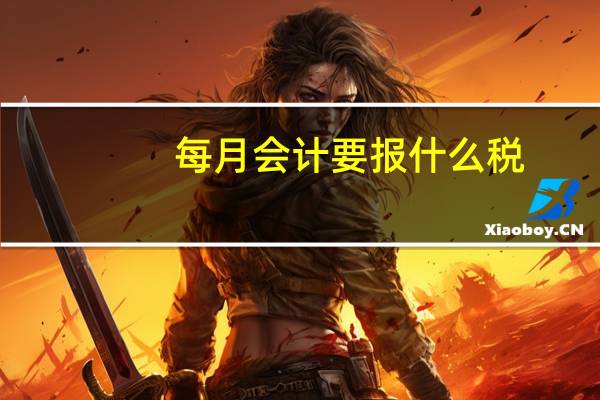 每月会计要报什么税