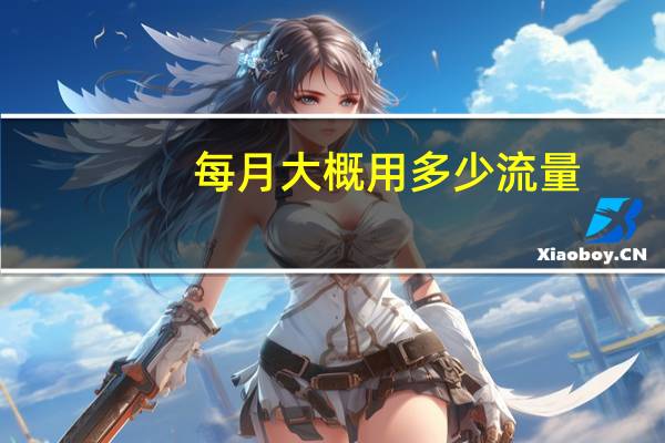 每月大概用多少流量