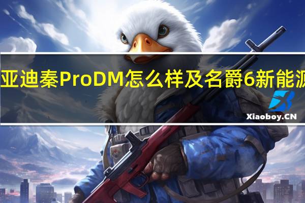 比亚迪秦Pro DM怎么样及名爵6新能源怎么样