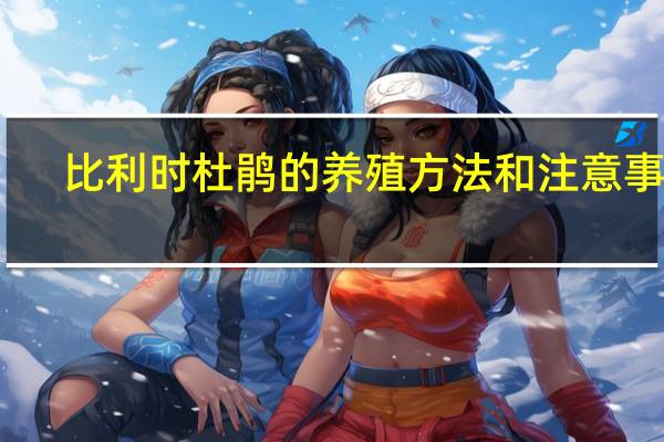 比利时杜鹃的养殖方法和注意事项