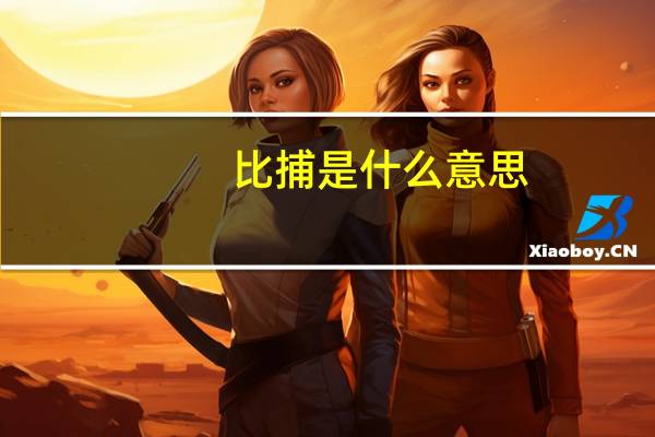 比捕是什么意思