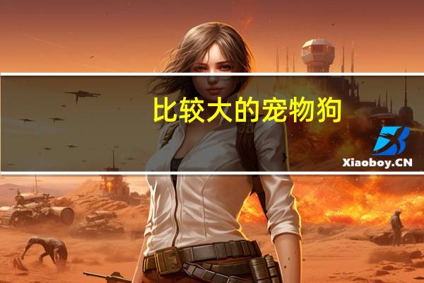 比较大的宠物狗