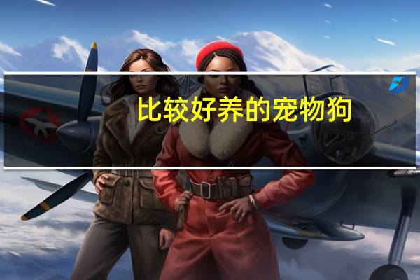 比较好养的宠物狗