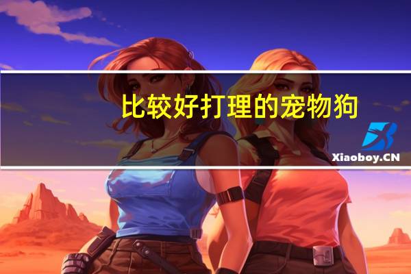 比较好打理的宠物狗