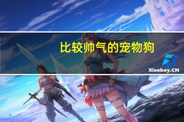 比较帅气的宠物狗