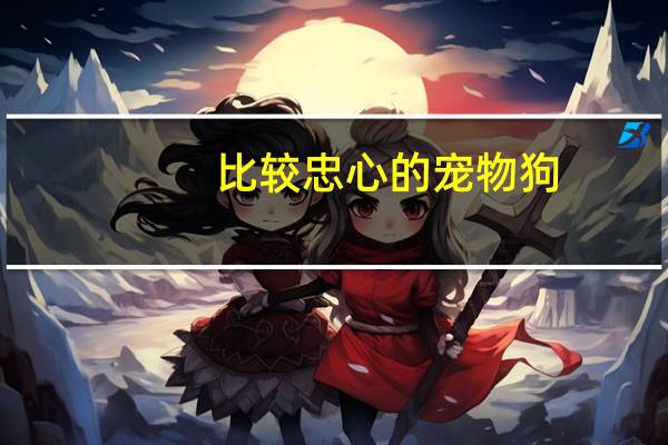 比较忠心的宠物狗