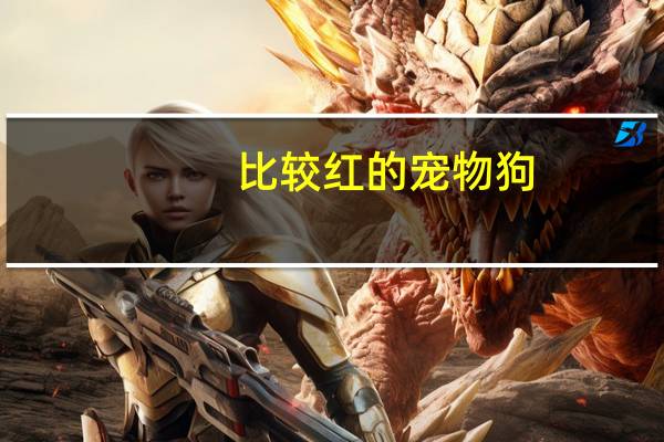比较红的宠物狗
