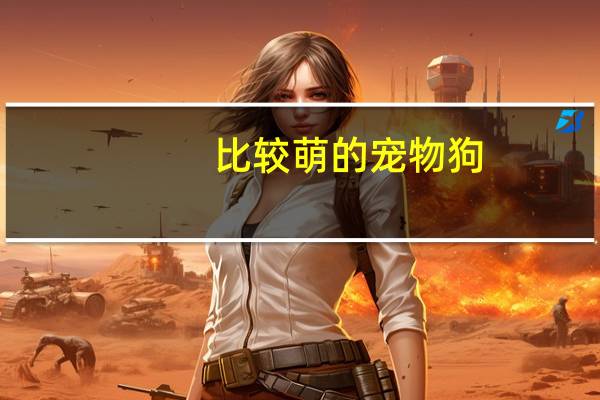 比较萌的宠物狗