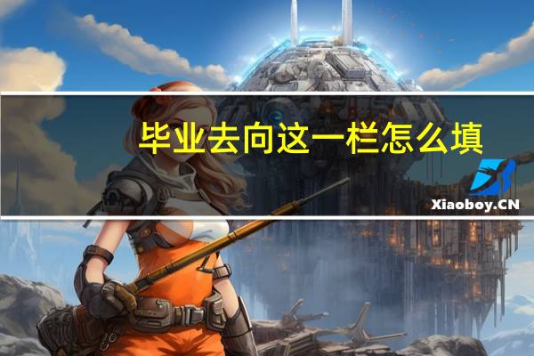 毕业去向这一栏怎么填