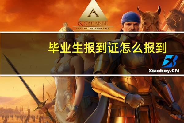 毕业生报到证怎么报到