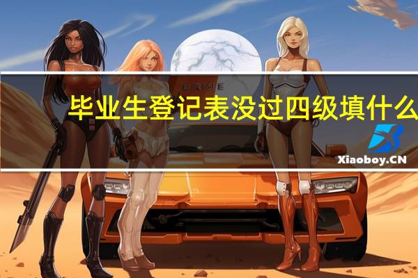 毕业生登记表没过四级填什么