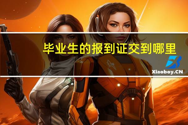 毕业生的报到证交到哪里