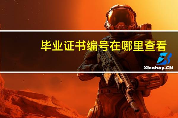 毕业证书编号在哪里查看