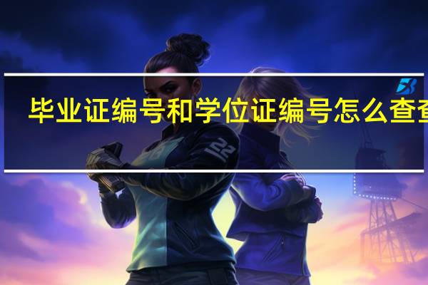 毕业证编号和学位证编号怎么查查询（毕业证编号和学位证编号怎么查）