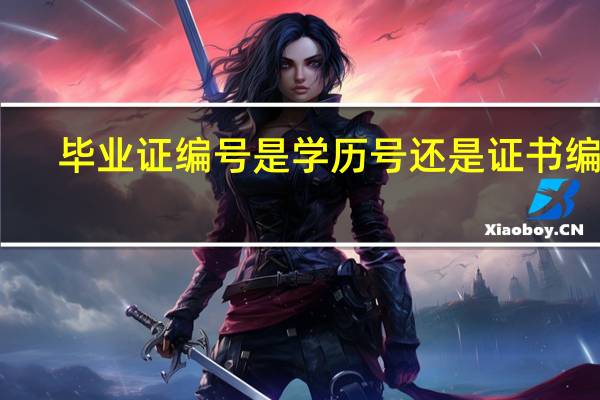 毕业证编号是学历号还是证书编号