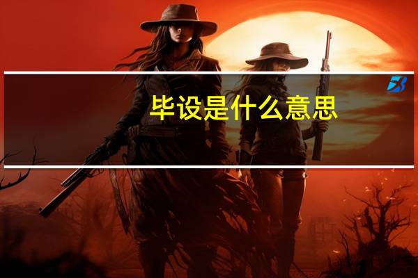 毕设是什么意思