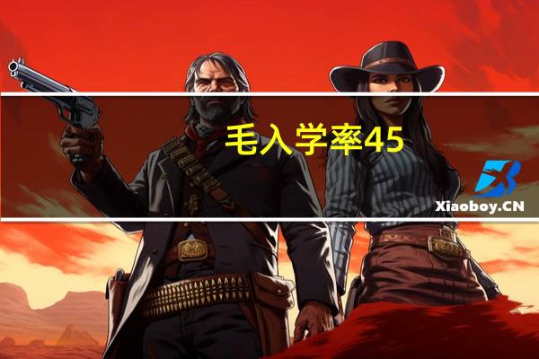 毛入学率45.7是什么阶段（毛入学率）