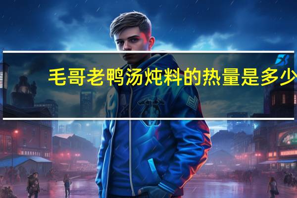 毛哥 老鸭汤炖料的热量是多少