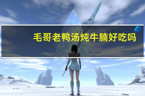 毛哥老鸭汤炖牛腩好吃吗