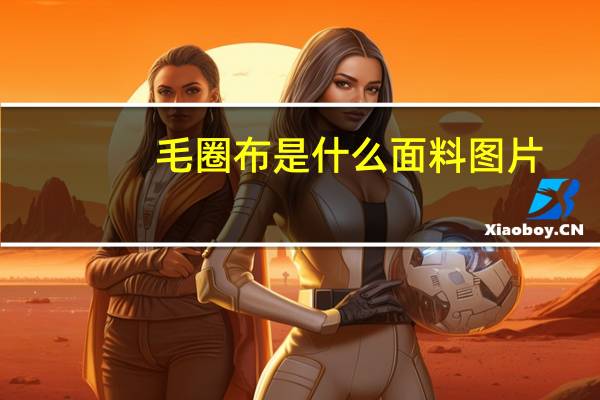 毛圈布是什么面料图片（毛圈布是什么面料）