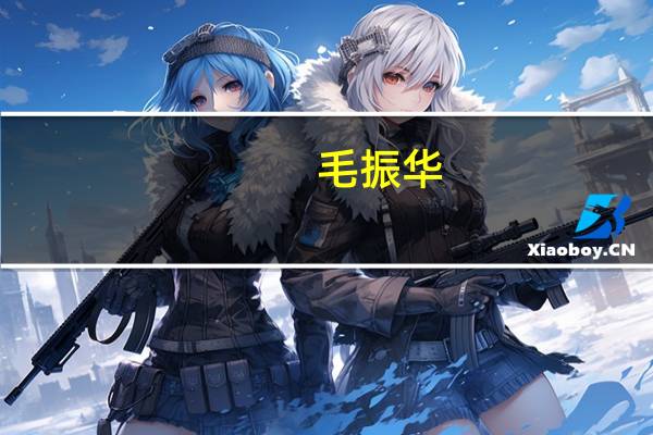 毛振华：建议冻结土地出让激发房地产市场发展信心