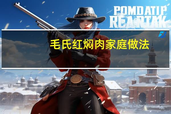 毛氏红焖肉家庭做法