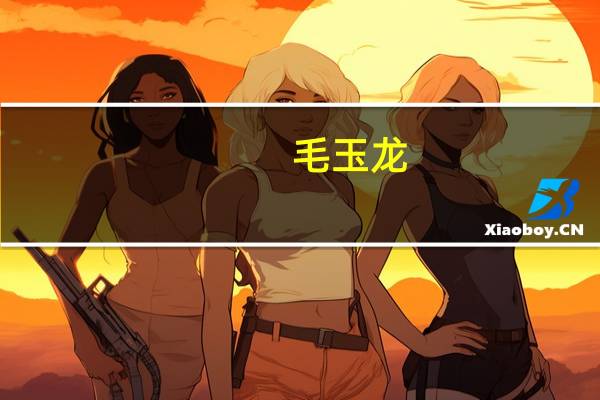 毛玉龙（毛玉）