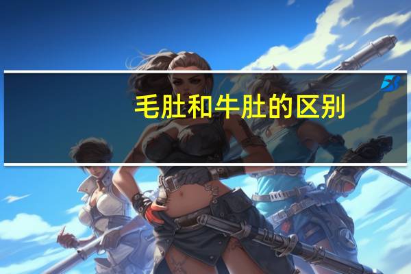 毛肚和牛肚的区别