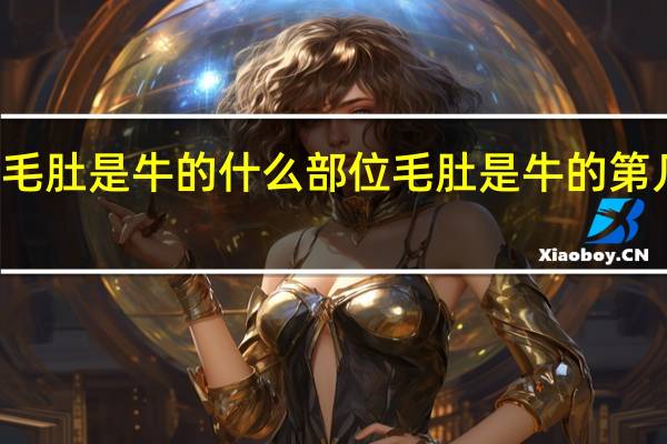 毛肚是牛的什么部位 毛肚是牛的第几个胃