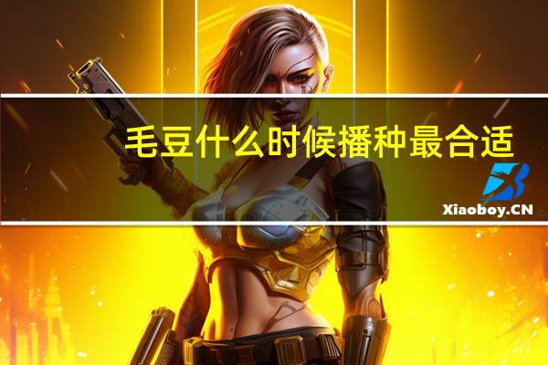毛豆什么时候播种最合适