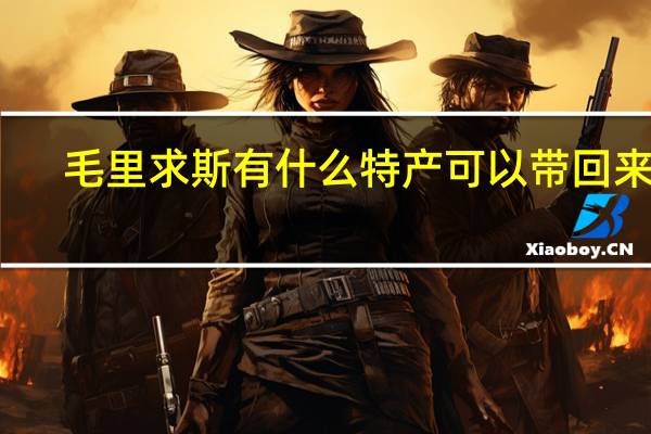 毛里求斯有什么特产可以带回来的
