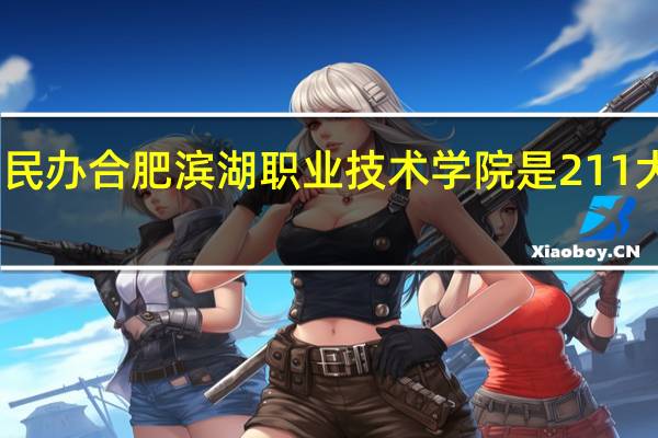 民办合肥滨湖职业技术学院是211大学吗