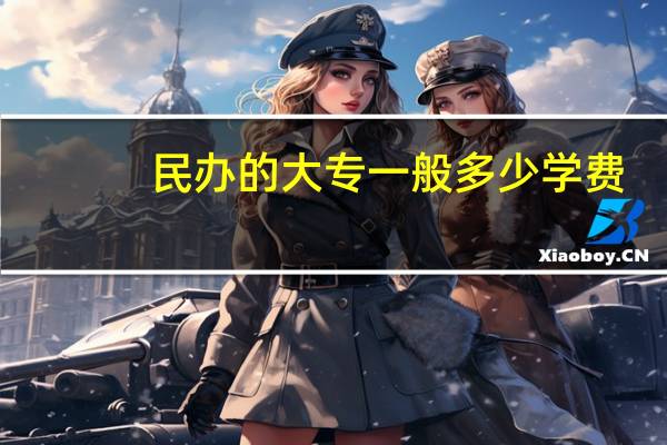 民办的大专一般多少学费