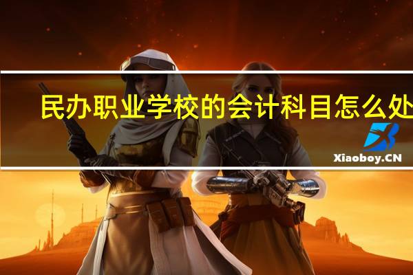 民办职业学校的会计科目怎么处理