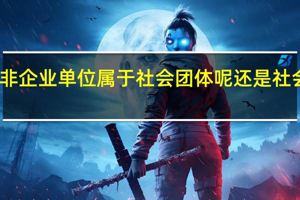 民办非企业单位属于社会团体呢还是社会服务机构