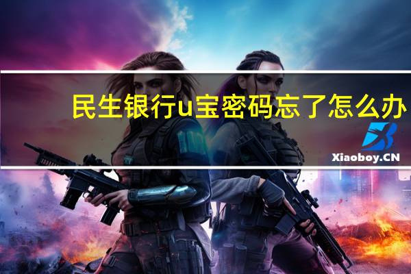 民生银行u宝密码忘了怎么办（民生银行u宝）