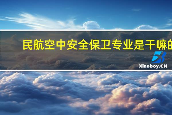 民航空中安全保卫专业是干嘛的