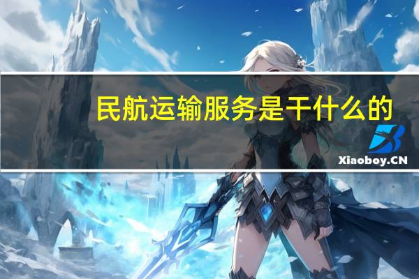 民航运输服务是干什么的