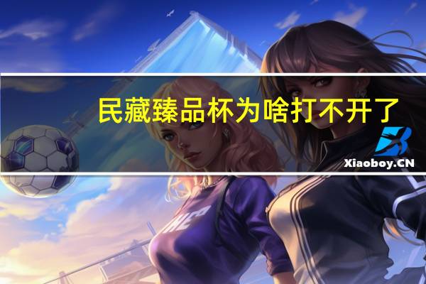 民藏臻品杯为啥打不开了