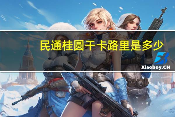 民通桂圆干卡路里是多少