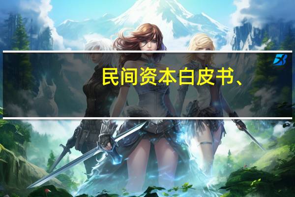 民间资本白皮书、（民间资本白皮书）