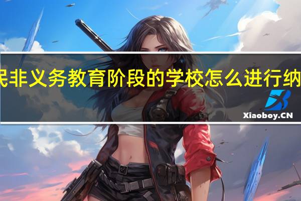 民非义务教育阶段的学校怎么进行纳税申报