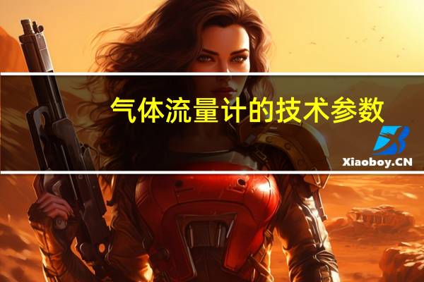 气体流量计的技术参数
