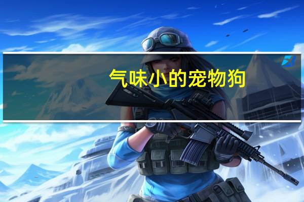 气味小的宠物狗